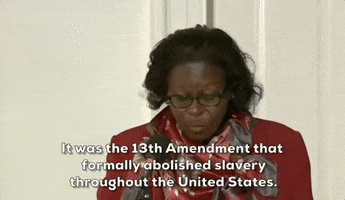 13Th Amendment GIF by GIPHY News