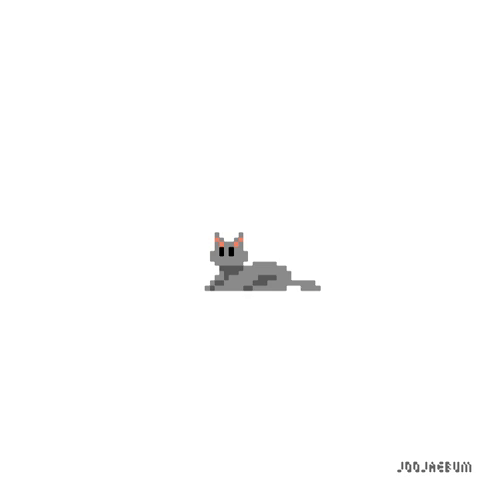 cat pixel GIF by joojaebum