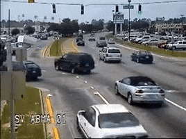thomassfl  GIF