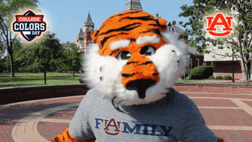 Excited College Football GIF by College Colors Day