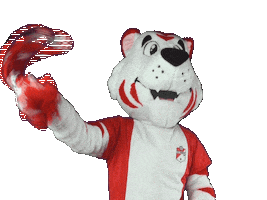 Sibi Sticker by FC Emmen