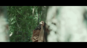Tal GIF