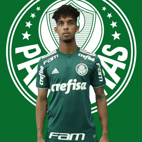 thinking think GIF by SE Palmeiras