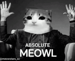 Cat Owl GIF