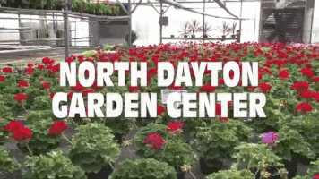 ameliarobinson north dayton garden center GIF