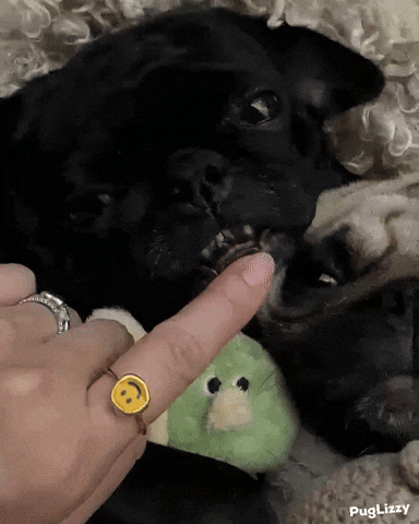 Baby Teething GIF