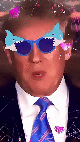 President Trump GIF by systaime