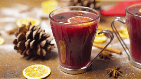 mulled wine holiday drinks GIF by evite