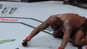 ufc 229 sport GIF by UFC