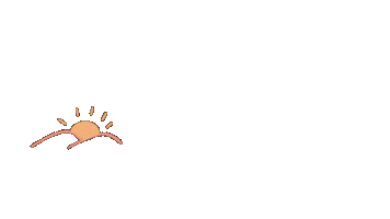 Sun Sticker