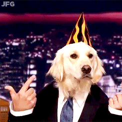 giphy.gif?cid=790b76115ccbf8074d63436167