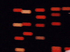 point GIF