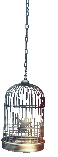 Dont Look Hardstyle Sticker by Gunz for Hire