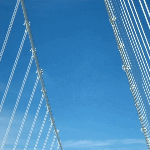Driving Bay Area GIF by Yevbel