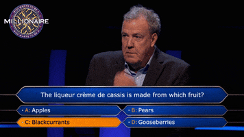 Who Wants To Be A Millionaire GIFs - Find &amp; Share on GIPHY