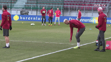 national team pitch GIF