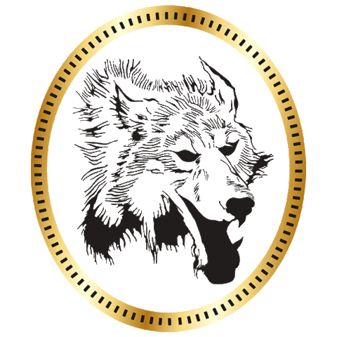 Porsche Gt3 Sticker by Ebimotors