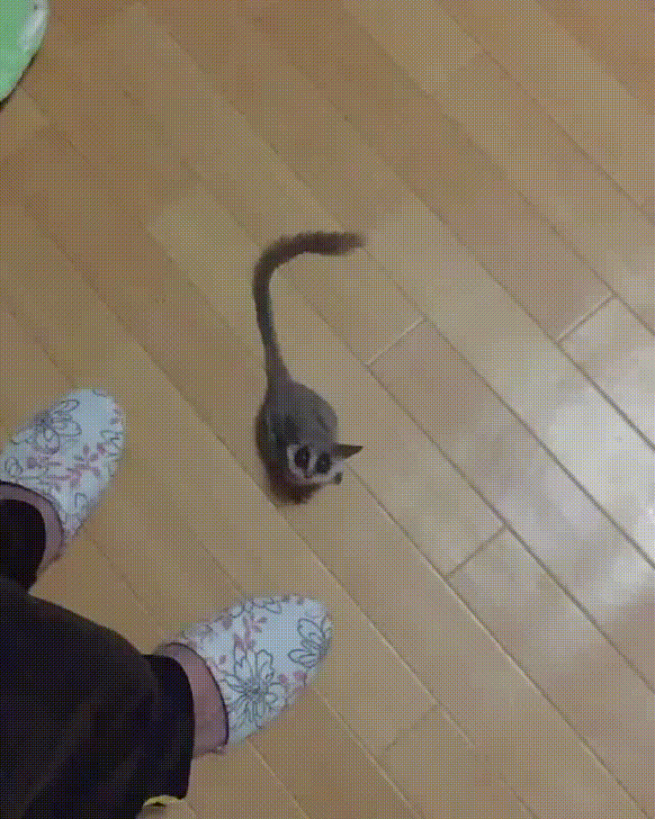Jump Satisfying Oddlysatisfying Oddly Satisfying Gif