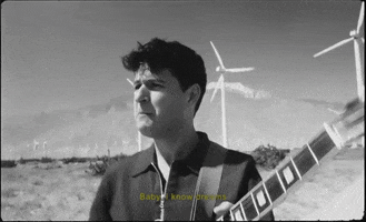 this life GIF by Vampire Weekend