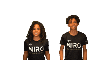 Niro Legacy Sticker
