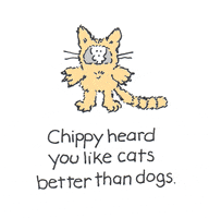 international cat day GIF by Chippy the dog