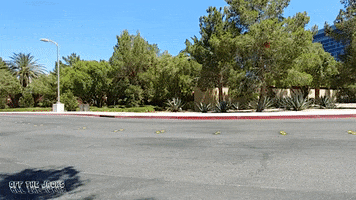 sports cars chevy GIF by Off The Jacks