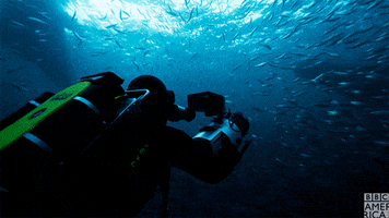 Recording Blue Planet GIF by BBC America