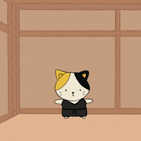 Sakamoto Cat GIFs