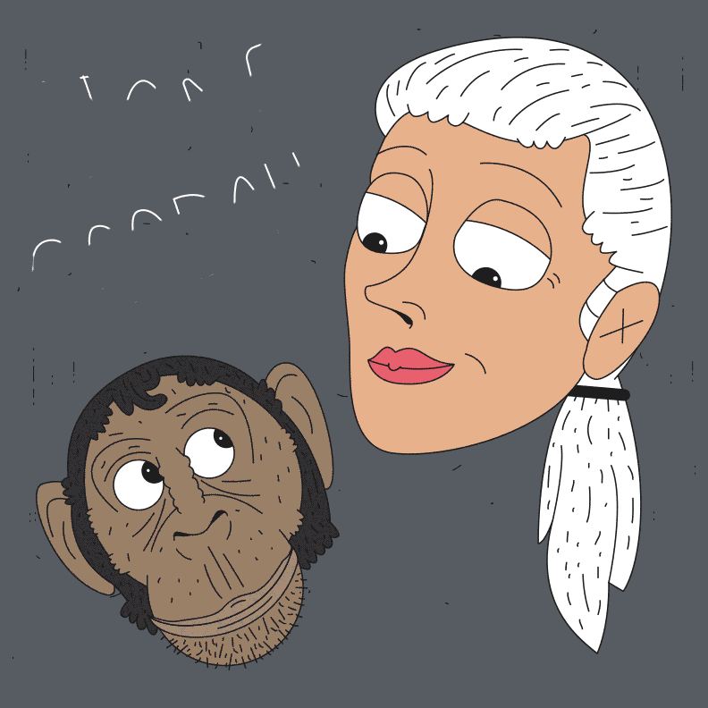 Jane Goodall Teaching GIF by Teach Stem