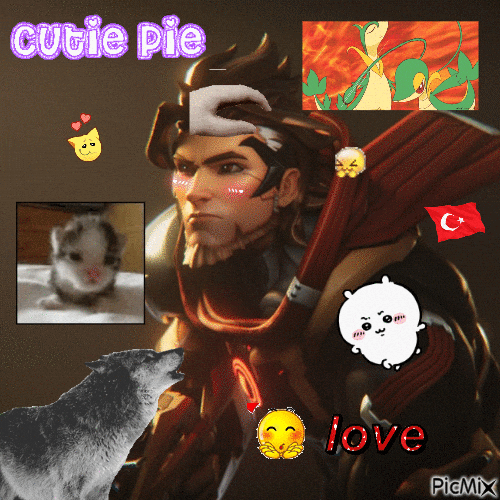 Overwatch Turkey GIF