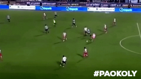 Football Paokfamily GIF by PAOK FC - Find & Share on GIPHY