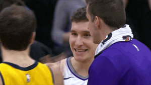 bogdan bogdanovic handshake GIF by NBA
