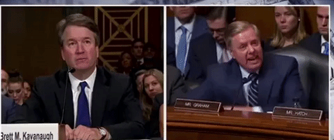 Kavanaugh GIF