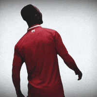 premier league football GIF by Liverpool FC
