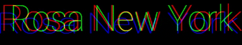 Rosa New York GIF