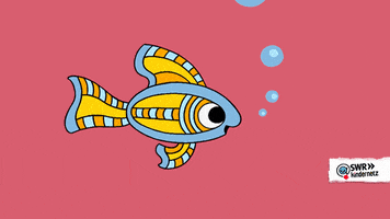 animation fish GIF by SWR Kindernetz
