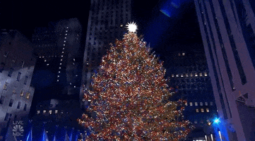 Merry Christmas GIF by NBC