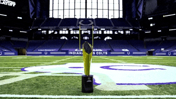 Football Colts GIF by Indianapolis Host Committee