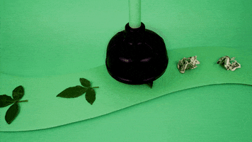 200.gif?cid=fc005b088761cbf608646a38e1b82b1b745a1cba4efa690f&rid=200.gif&ct=g