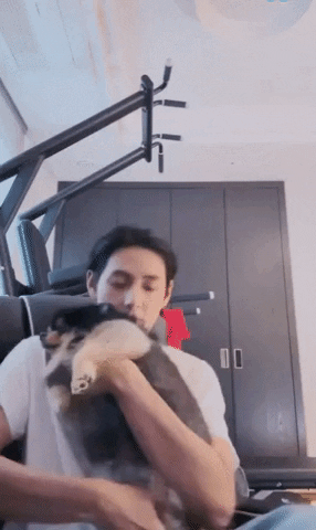 Animated GIF - Find and share on GIPHY