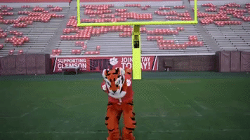 All In Dance GIF by Clemson Tigers
