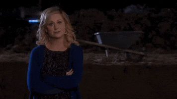 Amy Poehler Reaction GIF by MOODMAN