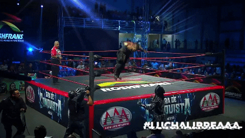 Hijo-del-vikingo GIFs - Get the best GIF on GIPHY