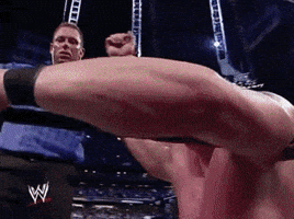 Brock Lesnar Win GIF by WWE