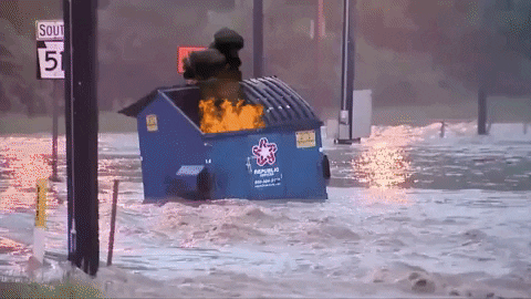 dumpster fire this is fine GIF