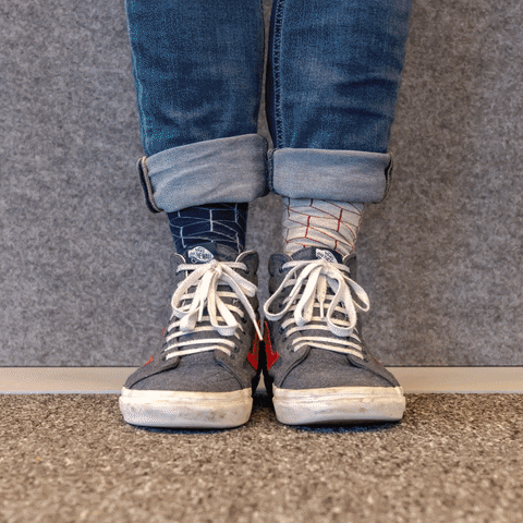 Wdsd Sylvestersocks GIF