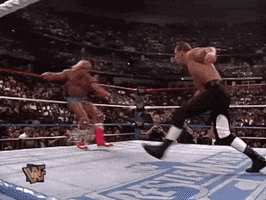 Ultimate Warrior Sport GIF by WWE