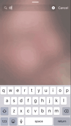 Instagram Search GIF by How To Giphy