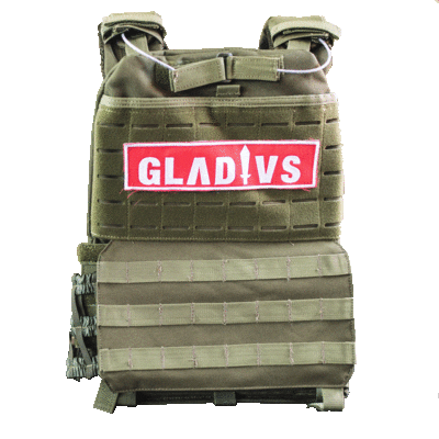 Fitness Italia Sticker