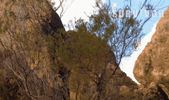 George Looking GIF by Australian Survivor